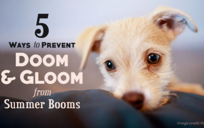 5 Ways to Prevent Doom & Gloom from Summer Booms