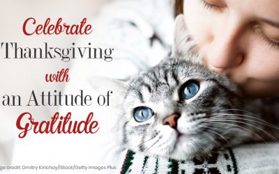 Celebrate Thanksgiving with an Attitude of Gratitude