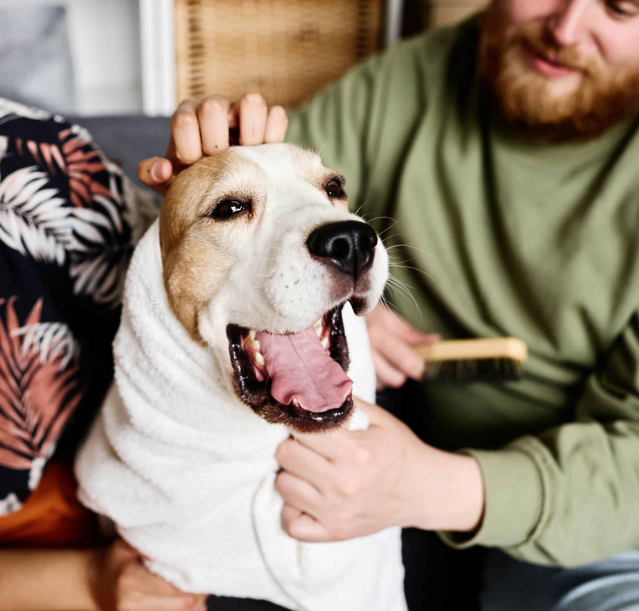Why In-Home Management Matters
